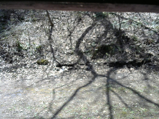 長野県菅平高原 ゆたか山荘 東側(坂下) 2026/04/25 11:00