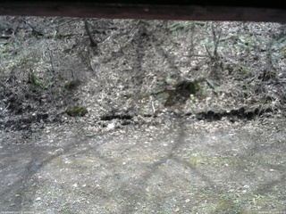 長野県菅平高原 ゆたか山荘 東側(坂下) 2026/04/25 12:00