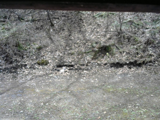 長野県菅平高原 ゆたか山荘 東側(坂下) 2026/04/25 12:15