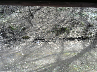 長野県菅平高原 ゆたか山荘 東側(坂下) 2026/04/25 13:00