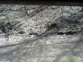 長野県菅平高原 ゆたか山荘 東側(坂下) 2026/04/25 14:15