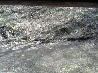 長野県菅平高原 ゆたか山荘 東側(坂下) 2026/04/25 14:30