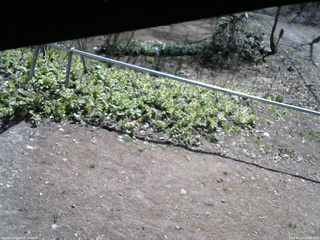 長野県菅平高原 ゆたか山荘 駐車場 2026/04/25 09:00