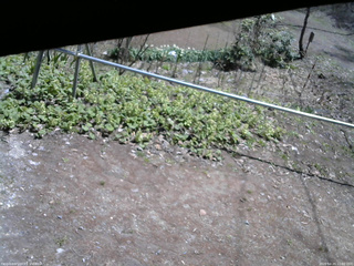 長野県菅平高原 ゆたか山荘 駐車場 2026/04/25 11:00