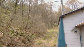 長野県菅平高原 ゆたか山荘 ゆたか山荘 2026/04/25 12:00