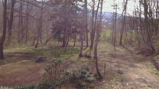 長野県菅平高原 ゆたか山荘 坂上 2026/04/25 08:00