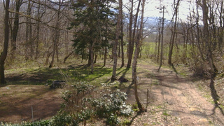 長野県菅平高原 ゆたか山荘 坂上 2026/04/25 08:15