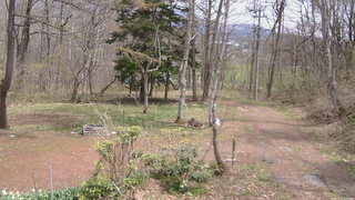 長野県菅平高原 ゆたか山荘 坂上 2026/04/25 12:00