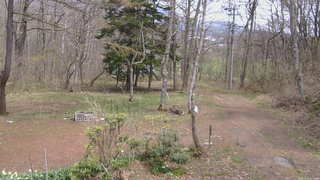 長野県菅平高原 ゆたか山荘 坂上 2026/04/25 12:30