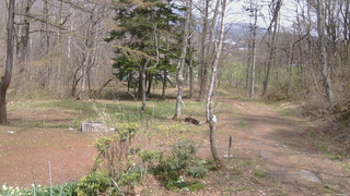 長野県菅平高原 ゆたか山荘 坂上 2026/04/25 12:45