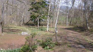 長野県菅平高原 ゆたか山荘 坂上 2026/04/25 14:00