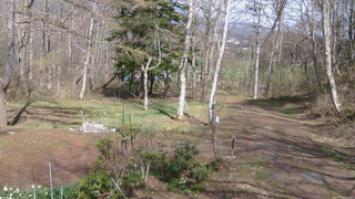 長野県菅平高原 ゆたか山荘 坂上 2026/04/25 14:30