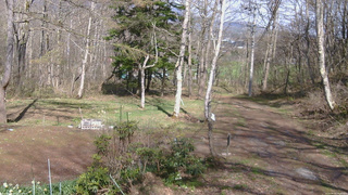 長野県菅平高原 ゆたか山荘 坂上 2026/04/25 14:45