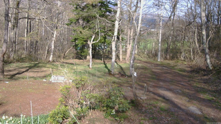 長野県菅平高原 ゆたか山荘 坂上 2026/04/25 15:45