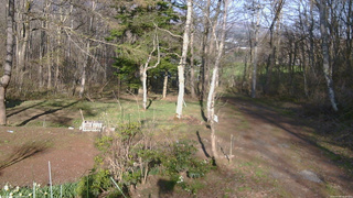 長野県菅平高原 ゆたか山荘 坂上 2026/04/25 16:30