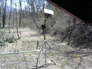 長野県菅平高原 ゆたか山荘 南側 2026/04/26 11:00