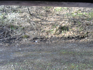 長野県菅平高原 ゆたか山荘 東側(坂下) 2026/04/26 07:00