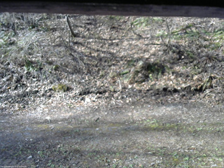 長野県菅平高原 ゆたか山荘 東側(坂下) 2026/04/26 07:15