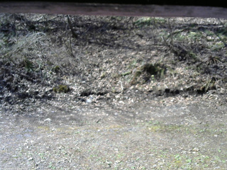 長野県菅平高原 ゆたか山荘 東側(坂下) 2026/04/26 08:15