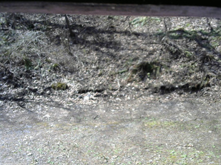 長野県菅平高原 ゆたか山荘 東側(坂下) 2026/04/26 08:30