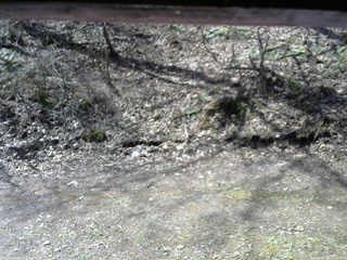 長野県菅平高原 ゆたか山荘 東側(坂下) 2026/04/26 09:00