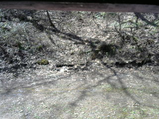 長野県菅平高原 ゆたか山荘 東側(坂下) 2026/04/26 09:15