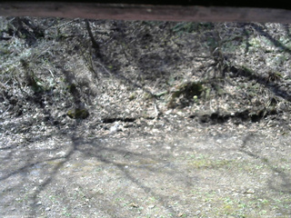 長野県菅平高原 ゆたか山荘 東側(坂下) 2026/04/26 10:00