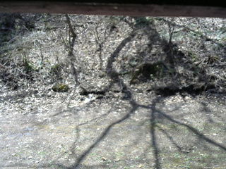 長野県菅平高原 ゆたか山荘 東側(坂下) 2026/04/26 11:00