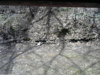 長野県菅平高原 ゆたか山荘 東側(坂下) 2026/04/26 12:00