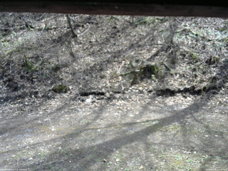 長野県菅平高原 ゆたか山荘 東側(坂下) 2026/04/26 13:15