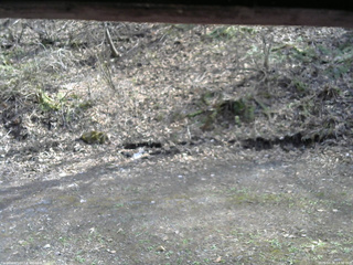 長野県菅平高原 ゆたか山荘 東側(坂下) 2026/04/26 14:30