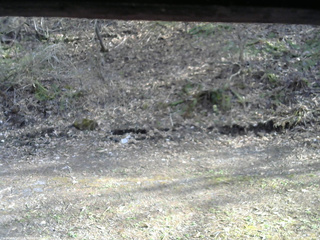 長野県菅平高原 ゆたか山荘 東側(坂下) 2026/04/26 15:45