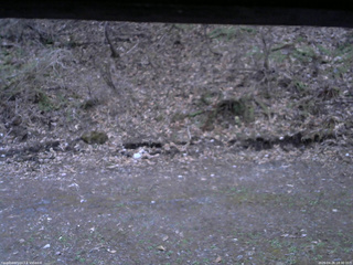 長野県菅平高原 ゆたか山荘 東側(坂下) 2026/04/26 18:30