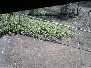 長野県菅平高原 ゆたか山荘 駐車場 2026/04/26 09:00