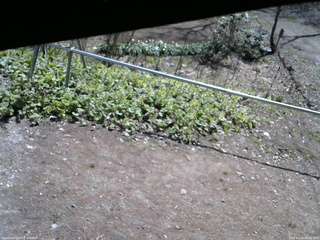 長野県菅平高原 ゆたか山荘 駐車場 2026/04/26 09:30