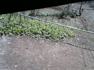 長野県菅平高原 ゆたか山荘 駐車場 2026/04/26 10:00