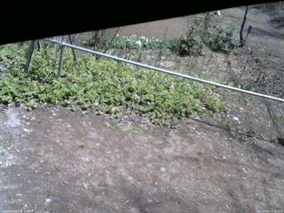 長野県菅平高原 ゆたか山荘 駐車場 2026/04/26 11:45