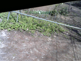 長野県菅平高原 ゆたか山荘 駐車場 2026/04/26 13:45