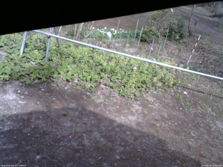 長野県菅平高原 ゆたか山荘 駐車場 2026/04/26 15:00