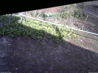 長野県菅平高原 ゆたか山荘 駐車場 2026/04/26 15:45