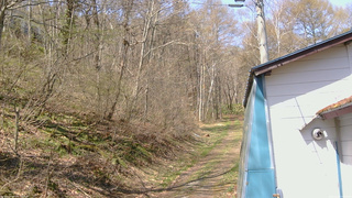 長野県菅平高原 ゆたか山荘 ゆたか山荘 2026/04/26 10:00
