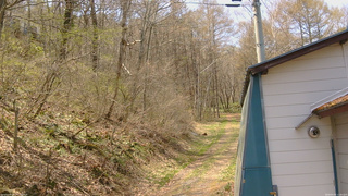 長野県菅平高原 ゆたか山荘 ゆたか山荘 2026/04/26 12:00