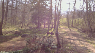 長野県菅平高原 ゆたか山荘 坂上 2026/04/26 07:45