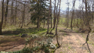 長野県菅平高原 ゆたか山荘 坂上 2026/04/26 08:30