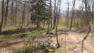 長野県菅平高原 ゆたか山荘 坂上 2026/04/26 08:45