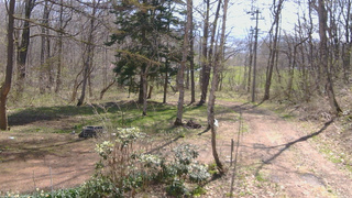 長野県菅平高原 ゆたか山荘 坂上 2026/04/26 09:15