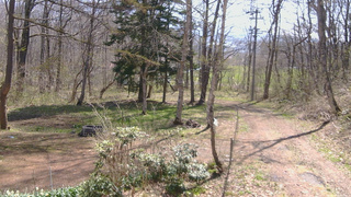 長野県菅平高原 ゆたか山荘 坂上 2026/04/26 09:30