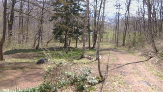 長野県菅平高原 ゆたか山荘 坂上 2026/04/26 09:45