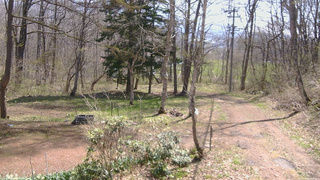 長野県菅平高原 ゆたか山荘 坂上 2026/04/26 10:00