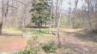 長野県菅平高原 ゆたか山荘 坂上 2026/04/26 13:00